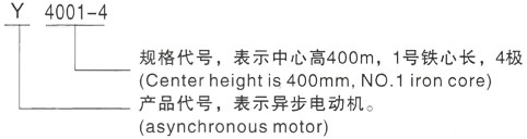 西安泰富西玛Y系列(H355-1000)高压YKK4504-6/450KW三相异步电机型号说明