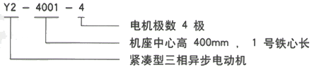 YR系列(H355-1000)高压YKK4504-6/450KW三相异步电机西安西玛电机型号说明